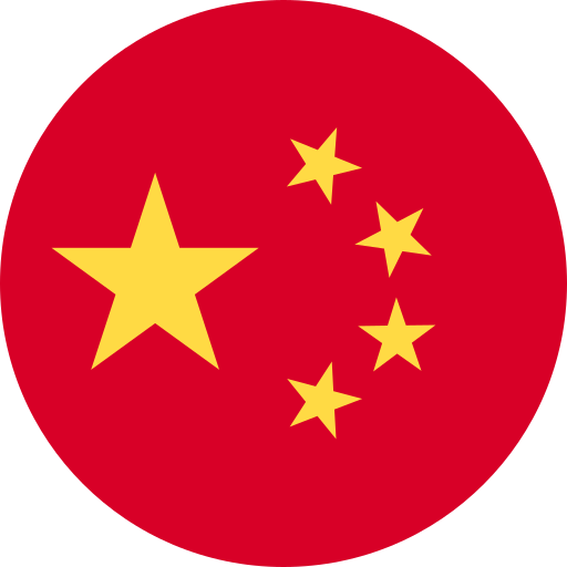 中文 flag